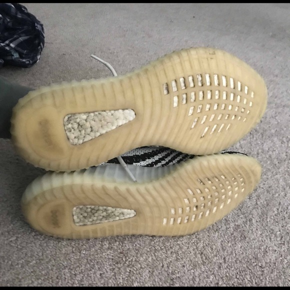 Zebras - Picture 4 of 6